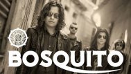 Concert Bosquito la Jupiter