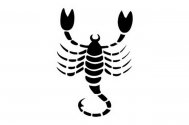 Scorpion – 10.08.2015 – 16.08.2015