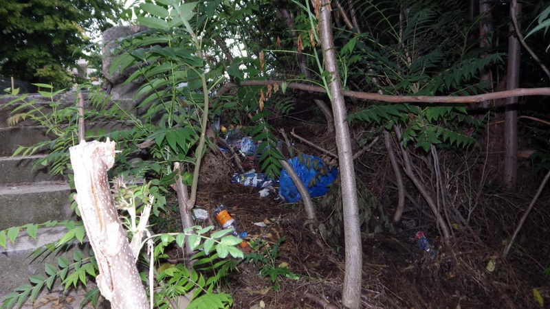 scrisoare pentru primaria constanta nu se poate face nimic cu un oras pe malul marii care ar trebui sa scrisoare pentru primaria constanta nu se poate face nimic cu un oras pe malul marii care ar trebui sa