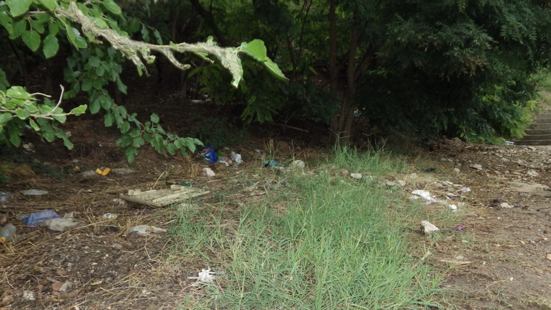 scrisoare pentru primaria constanta nu se poate face nimic cu un oras pe malul marii care ar trebui sa scrisoare pentru primaria constanta nu se poate face nimic cu un oras pe malul marii care ar trebui sa