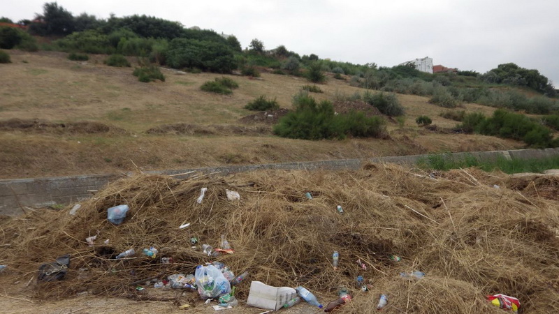 scrisoare pentru primaria constanta nu se poate face nimic cu un oras pe malul marii care ar trebui sa scrisoare pentru primaria constanta nu se poate face nimic cu un oras pe malul marii care ar trebui sa