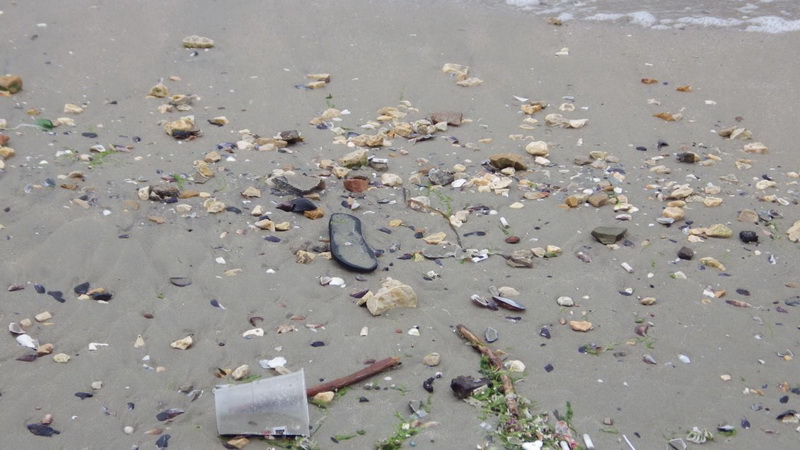 scrisoare pentru primaria constanta nu se poate face nimic cu un oras pe malul marii care ar trebui sa scrisoare pentru primaria constanta nu se poate face nimic cu un oras pe malul marii care ar trebui sa