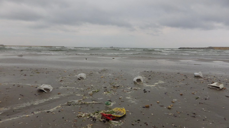 scrisoare pentru primaria constanta nu se poate face nimic cu un oras pe malul marii care ar trebui sa scrisoare pentru primaria constanta nu se poate face nimic cu un oras pe malul marii care ar trebui sa