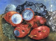 Pictura zilei „Pitaya” de Frida Kahlo 