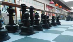 Şahul - primul pas spre performanţă (galerie foto)