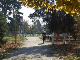 Centrul natura Natura în toamnă