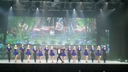 Michael Flatley, la Constanţa „Lord of the Dance - Dangerous Games“, un spectacol care a uimit publicul prin graţie şi tehnică (galerie foto)