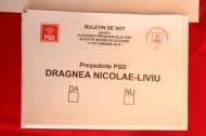UPDATE 1 Alegeri în PSD. Scrutinul s-a încheiat la organizaţia locală la Topalu   