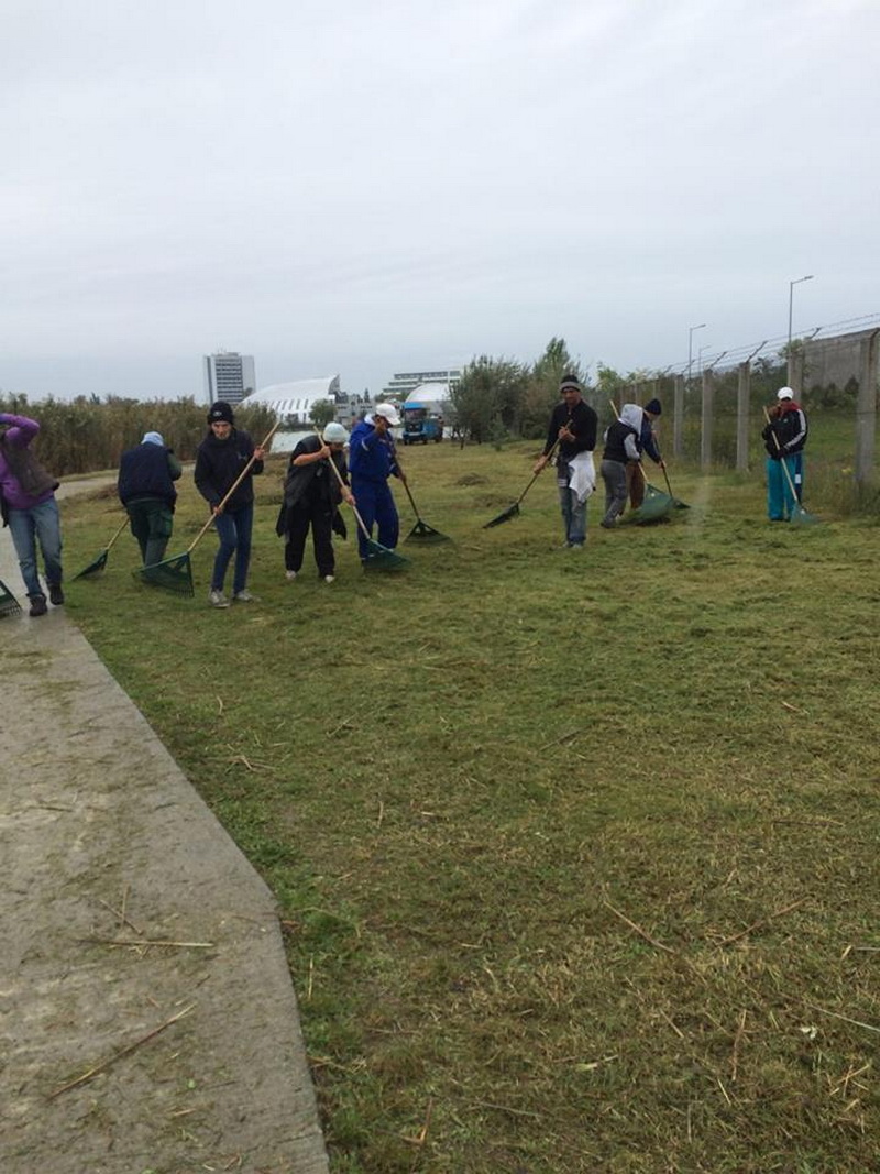 ziua verde constanta marcata de polaris m holding si municipalitate prin actiuni de ecologizare si educatie ziua verde constanta marcata de polaris m holding si municipalitate prin actiuni de ecologizare si educatie