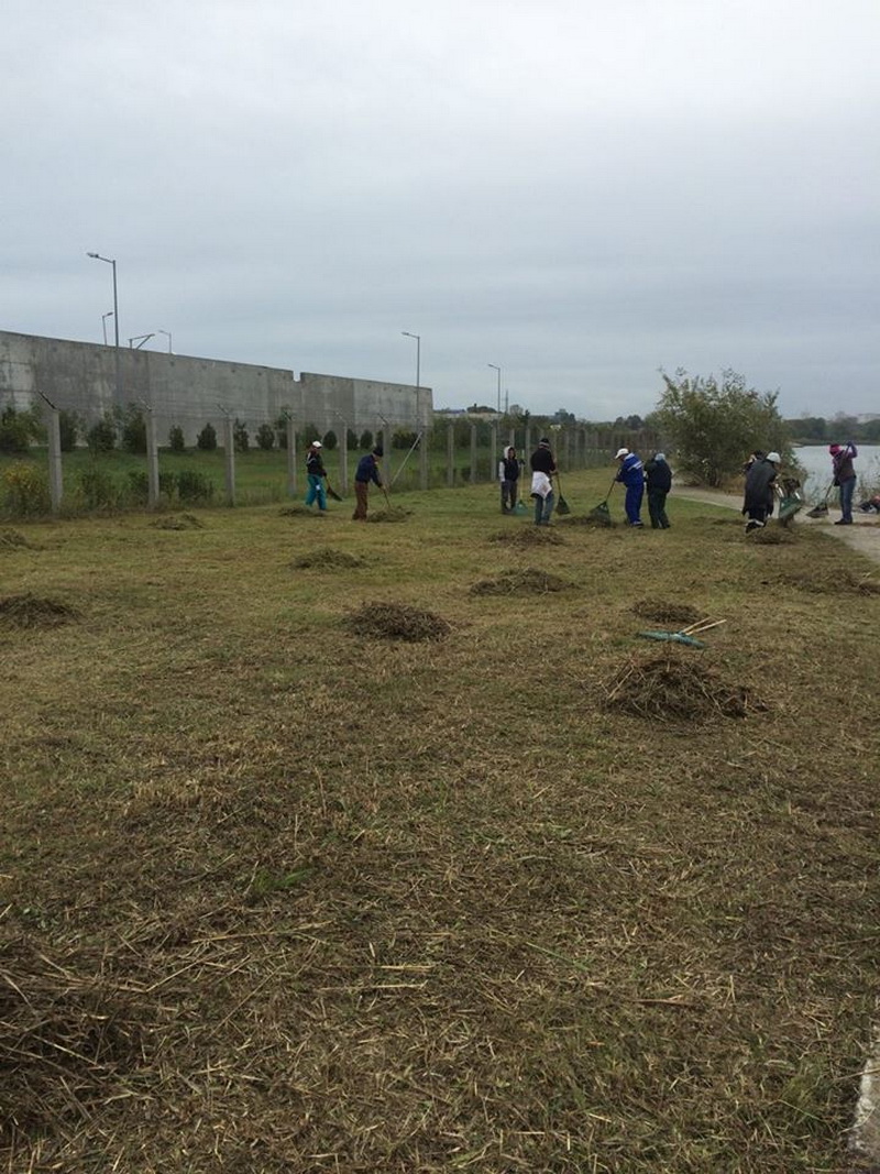 ziua verde constanta marcata de polaris m holding si municipalitate prin actiuni de ecologizare si educatie ziua verde constanta marcata de polaris m holding si municipalitate prin actiuni de ecologizare si educatie