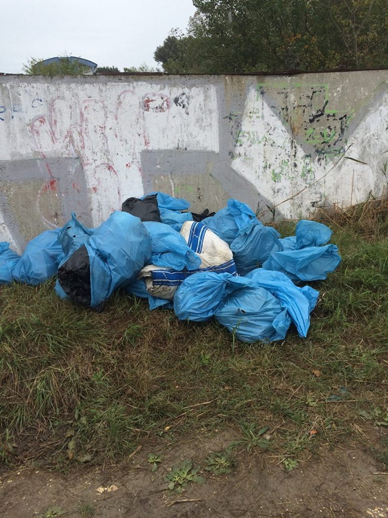 ziua verde constanta marcata de polaris m holding si municipalitate prin actiuni de ecologizare si educatie ziua verde constanta marcata de polaris m holding si municipalitate prin actiuni de ecologizare si educatie