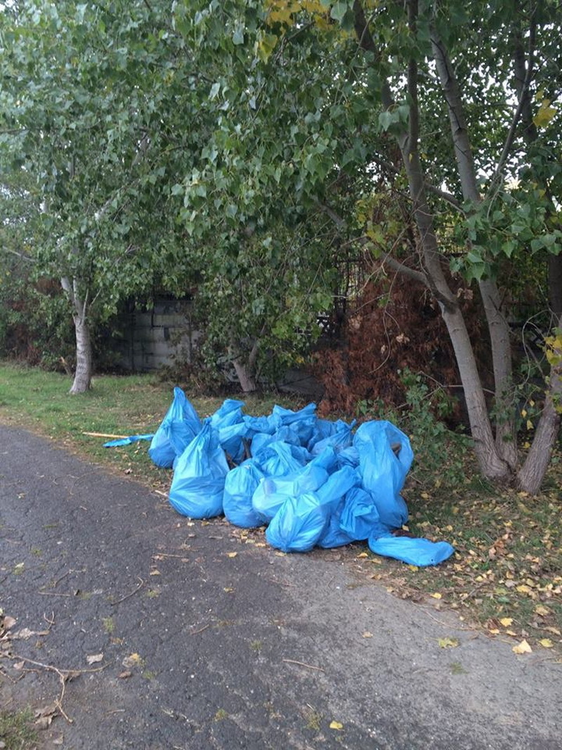 ziua verde constanta marcata de polaris m holding si municipalitate prin actiuni de ecologizare si educatie ziua verde constanta marcata de polaris m holding si municipalitate prin actiuni de ecologizare si educatie