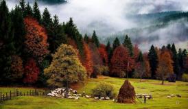 Lumea poeziilor Lucian Blaga - Cîntecul călătorului în toamnă