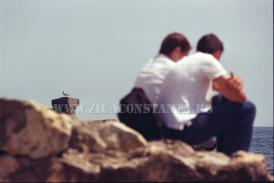 Centrul natura Cine devin când am probleme?