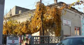 Ciudăţeniile administraţiei „Mazăre“ Familia Chinalis s-a chinuit zece ani să-şi recapete casa confiscată de comunişti (I) (galerie foto)    