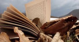 Lumea poeziilor Grigore Vieru – În limba ta