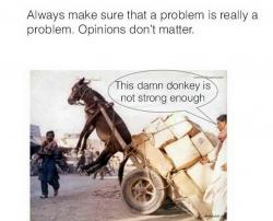 GPeC Summit 2015 Despre scorul de calitate, remarketing şi mobile-commerce (galerie foto) 