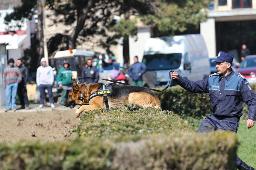 istoricul atentatelor din constanta cum recunosti un terorist tehnica pusa la dispozitie gratis de sri istoricul atentatelor din constanta cum recunosti un terorist tehnica pusa la dispozitie gratis de sri