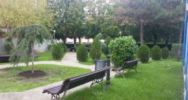 Apartamentele pentru cazuri sociale, aproape gata Ovidiu Brăiloiu - „În anul 2016, curăţenia este prioritară“