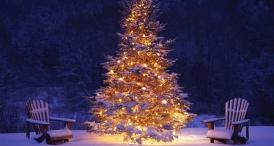 Lumea poeziilor George Coşbuc - Pomul Crăciunului    