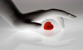 Lumea poeziilor Ana Blandiana - Abia începusem să simt        