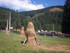 Bancul zilei Căpița cu fân