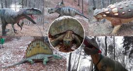 Fotoreportaj O plimbare printre dinozaurii de la Dino Parc Râșnov (galerie foto)