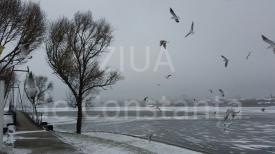 În Parcul Tăbăcărie din Constanţa e ca în basm. Copiii au ieşit la săniuş (galerie foto+video)  