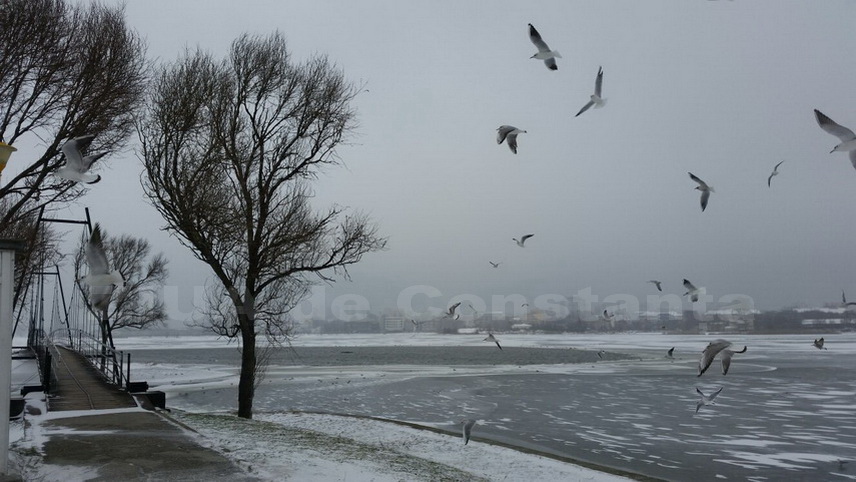 informare anm pentru ninsori precipitatii mixte si polei cum va fi vremea la constanta de botezul domnului informare anm pentru ninsori precipitatii mixte si polei cum va fi vremea la constanta de botezul domnului