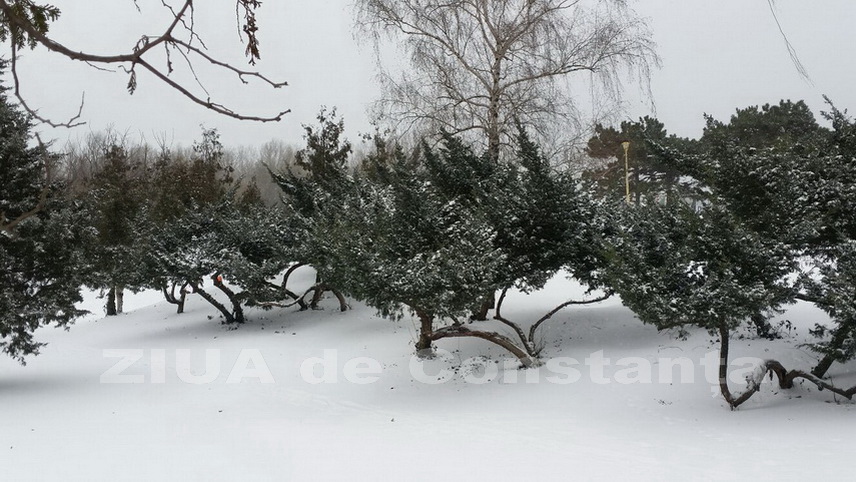 informare anm pentru ninsori precipitatii mixte si polei cum va fi vremea la constanta de botezul domnului informare anm pentru ninsori precipitatii mixte si polei cum va fi vremea la constanta de botezul domnului