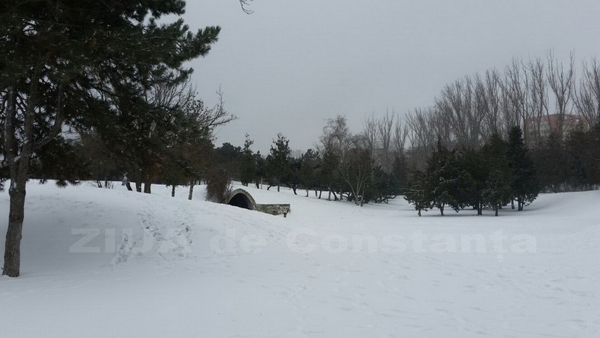 informare anm pentru ninsori precipitatii mixte si polei cum va fi vremea la constanta de botezul domnului informare anm pentru ninsori precipitatii mixte si polei cum va fi vremea la constanta de botezul domnului