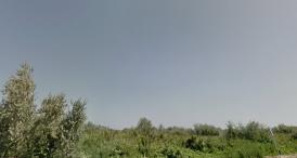 Cine se opune falimentului firmei Mamaia Nord Enterprises SA?