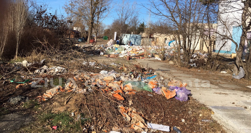 la microrezervatia constanta domina mizeria galerie foto 578778 la microrezervatia constanta domina mizeria galerie foto 578778