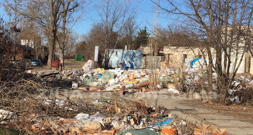 la microrezervatia constanta domina mizeria galerie foto 578778 la microrezervatia constanta domina mizeria galerie foto 578778