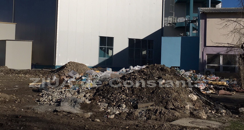 la microrezervatia constanta domina mizeria galerie foto 578778 la microrezervatia constanta domina mizeria galerie foto 578778