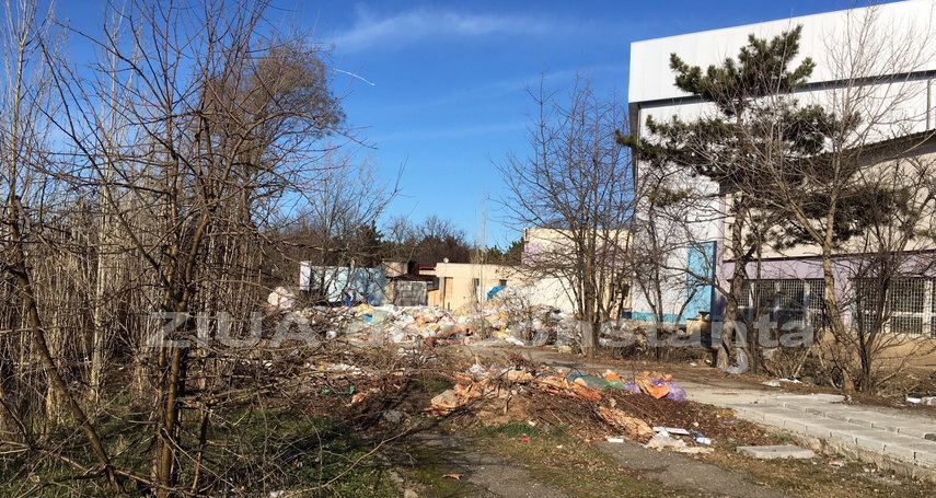 la microrezervatia constanta domina mizeria galerie foto 578778 la microrezervatia constanta domina mizeria galerie foto 578778