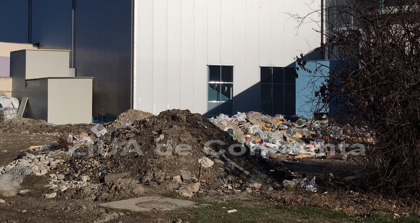 la microrezervatia constanta domina mizeria galerie foto 578778 la microrezervatia constanta domina mizeria galerie foto 578778