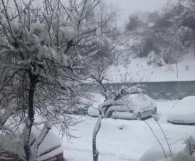 În Tulcea zăpada s-a așternut ca în povești 