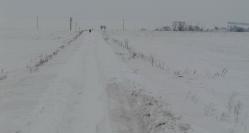 Trafic de coşmar în Constanţa Autostrada Soarelui şi mai multe tronsoane de drumuri, blocate din cauza ninsorii şi a viscolului