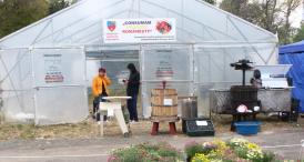 A primit peste un milion de euro de la CJC pentru solare Akilex Logistic are un nou administrator - un tânăr de 19 ani