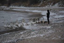Fotoreportaj Cu toată frumuseţea mării înainte