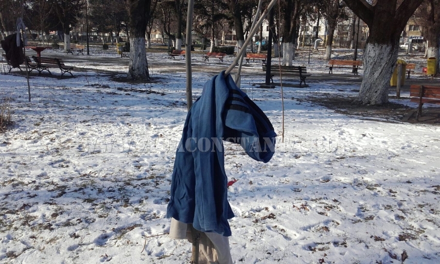 copaci imbracati in parcul de la gara galerie foto 579978 copaci imbracati in parcul de la gara galerie foto 579978