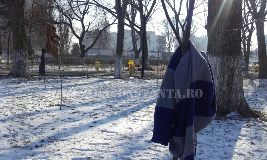 copaci imbracati in parcul de la gara galerie foto 579978 copaci imbracati in parcul de la gara galerie foto 579978