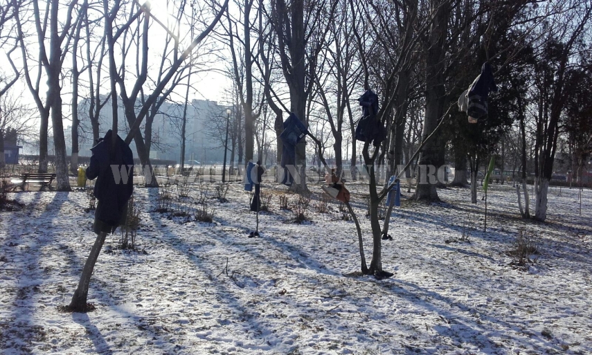 copaci imbracati in parcul de la gara galerie foto 579978 copaci imbracati in parcul de la gara galerie foto 579978