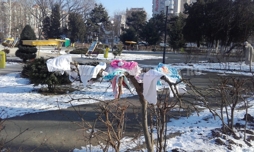 copaci imbracati in parcul de la gara galerie foto 579978 copaci imbracati in parcul de la gara galerie foto 579978