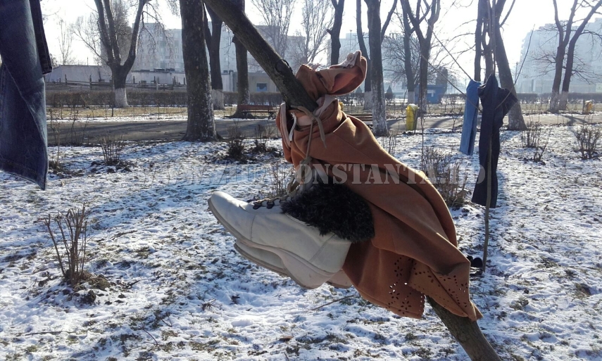 copaci imbracati in parcul de la gara galerie foto 579978 copaci imbracati in parcul de la gara galerie foto 579978