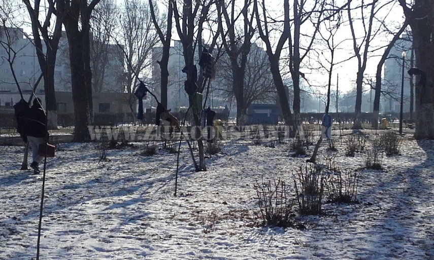 copaci imbracati in parcul de la gara galerie foto 579978 copaci imbracati in parcul de la gara galerie foto 579978