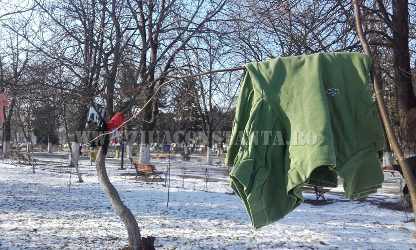 copaci imbracati in parcul de la gara galerie foto 579978 copaci imbracati in parcul de la gara galerie foto 579978