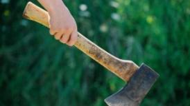 „Operaţiunea toporul”, la o secţie de votare din judeţul Constanţa