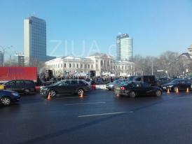 Pădurarii au ieşit în stradă!